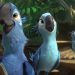 “Rio 2”: continuação animada aposta em mensagem ecológica na Amazônia