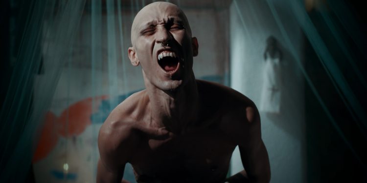 Aceccine elege os melhores filmes de 2019