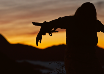 Drive-in: Terror nacional “Macabro” ganha poster, trailer e data de estreia nos cinemas