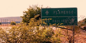 Verminosos por Futebol terá dois curtas exibidos no Cine Ceará 2020