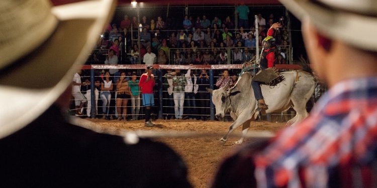 Crítica: “Querência” vai do trauma ao sonho realizado