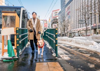 Crítica: uma carta de amor aos cães-guias, “Eternos Companheiros” é um melodrama emocionante