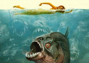Coleção “Piranha”: o sabor do trash e as ansiedades de uma época nos Filmes B