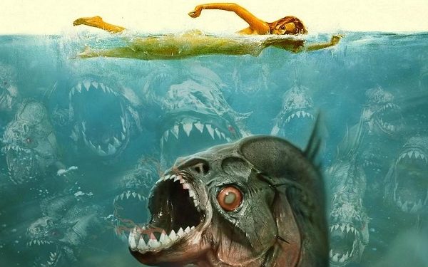 Coleção “Piranha”: o sabor do trash e as ansiedades de uma época nos Filmes B