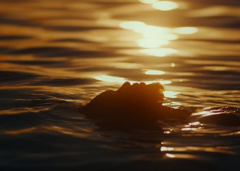 Cine Ceará 2023 promoverá exibições especiais de grandes produções cearenses do ano