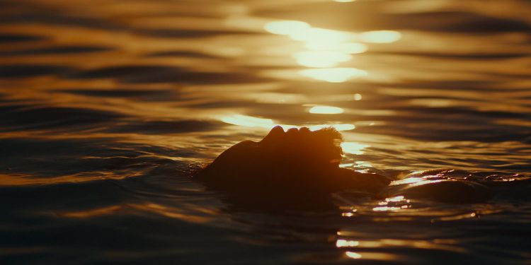 Cine Ceará 2023 promoverá exibições especiais de grandes produções cearenses do ano