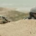 “Star Wars: O Mandaloriano e Grogu” é tão previsível quanto desinteressante